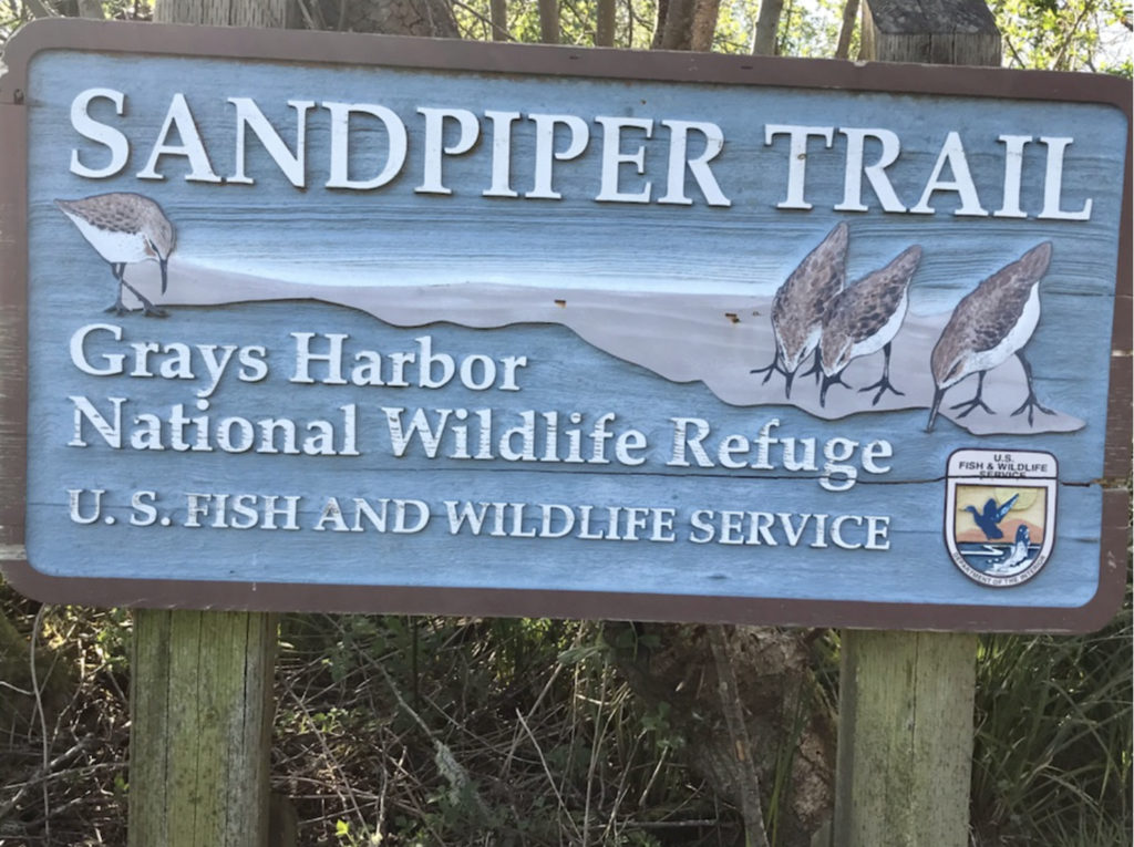 Sandpiper Trail Sign by Paul Hicks