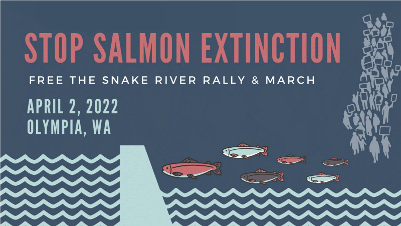 Stop Salmon Extenction: Free The Snake River Rally