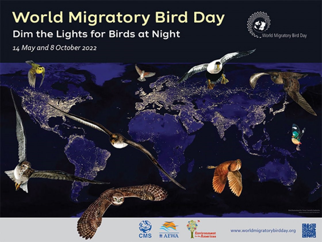 WORLD MIGRATORY BIRD DAY Black Hills Audubon Society