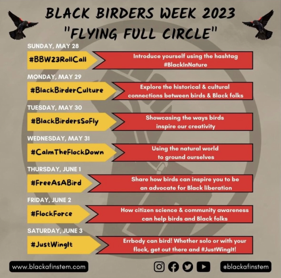 Black Birders Week May 28 - June 3 2023