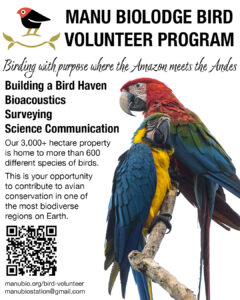 Peru volunteer opportunity